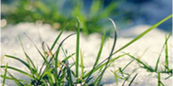 Потепление в Приморье будет кратковременным