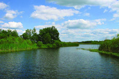Река Берестовец