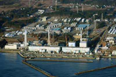 Причиной сбоя систем охлаждения на АЭС «Фукусима-1» могла стать крыса