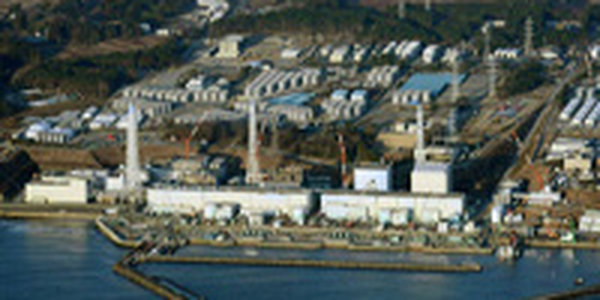 Причиной сбоя систем охлаждения на АЭС «Фукусима-1» могла стать крыса