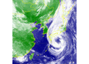 Тайфун «TALAS» смещается к Приморью