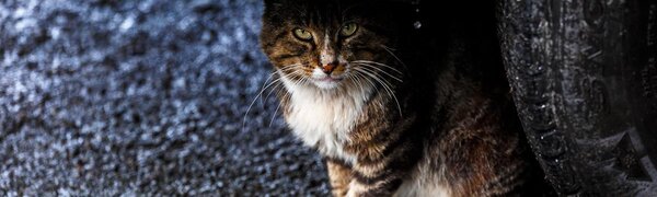 В среду погода в Приморье окончательно испортится