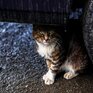 В среду погода в Приморье окончательно испортится