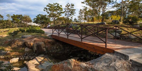 Владивостокцев приглашают в бесплатный поход по Русскому острову