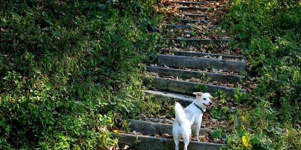 Выходные дни во Владивостоке будут погожими