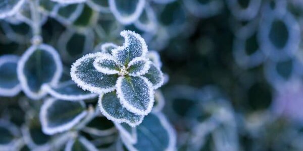 Мороз усилился в Дальневосточном регионе