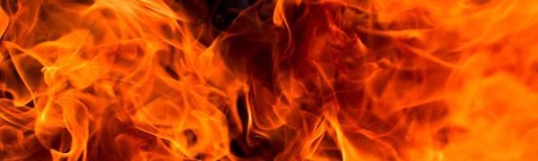 В Приморье объявлен чрезвычайный класс пожарной опасности леса