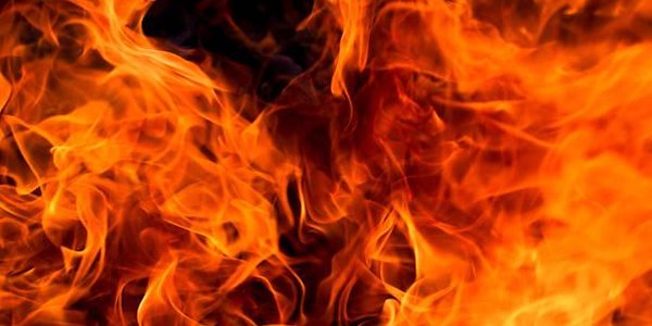 В Приморье объявлен чрезвычайный класс пожарной опасности леса