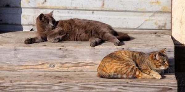 Завтра в Приморье станет еще теплее