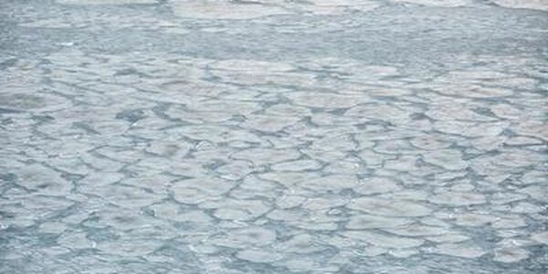 Внимание рыбаков-любителей! Из-за усиления ветра в заливах возможен отрыв льда