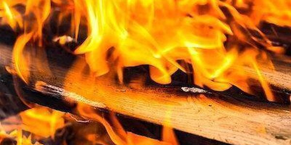 Несмотря на зимний сезон, в Приморье горят леса