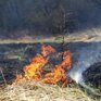 Внимание! 28 – 31 мая в Приморье высокая опасность лесных пожаров