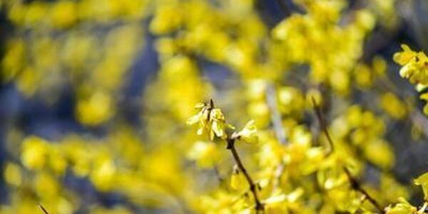 Неустойчивая погода наблюдалась в Приморье на длинных выходных