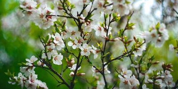 Синоптики рассказали о погоде в Приморье на выходных