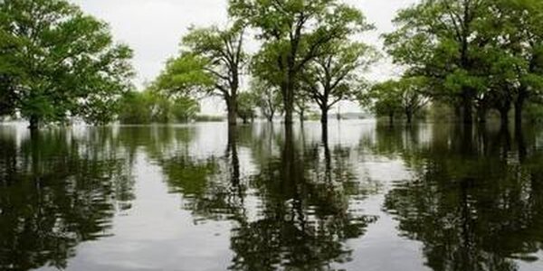 Предупреждение об опасных гидрологических явлениях на реках края