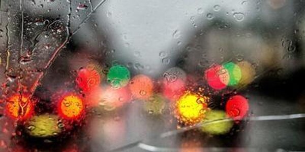 Дожди разной интенсивности будут идти в разных районах Приморья