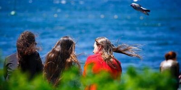 Погода в Приморье улучшится на выходных