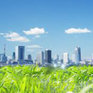 Международный день Матери-Земли 2014: Зеленые города