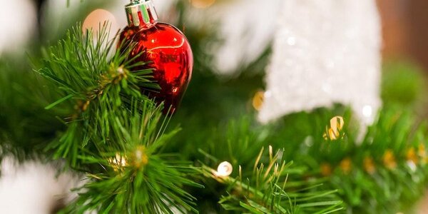 В пяти кинотеатрах Владивостока пройдут ёлки главы города