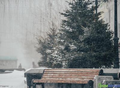 С резкого ухудшения погоды начнется неделя в Приморье: снег, гололедица и похолодание