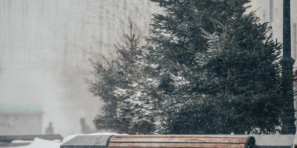 С резкого ухудшения погоды начнется неделя в Приморье: снег, гололедица и похолодание