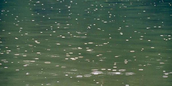 На реках Приморья ожидается резкий подъём воды