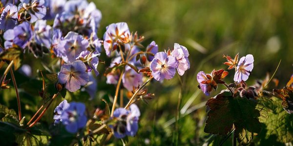 Во Владивостоке был побит 30-летний рекорд тепла