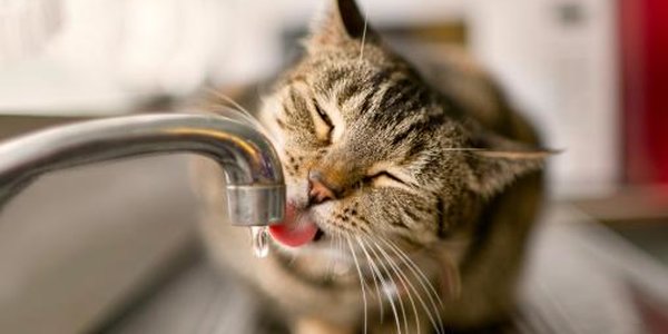 Гидравлические испытания в Советском районе начнутся 19 июня