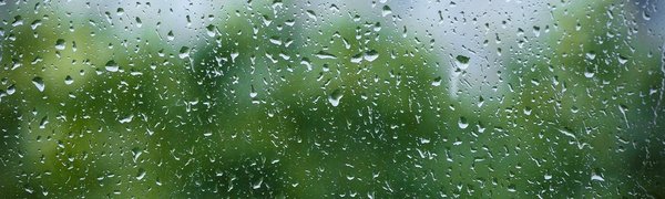 Завтра в Приморье пройдут дожди – от небольших до сильных