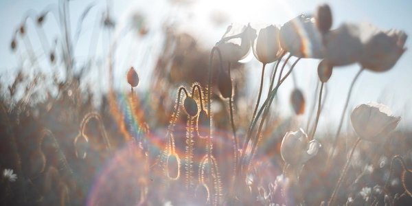 Во второй половине недели погода в Приморье наладится