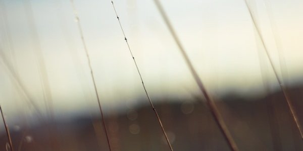 В ближайшие двое суток дожди в Приморье продолжатся