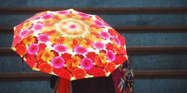 Последние выходные дни лета в Приморье будут дождливыми