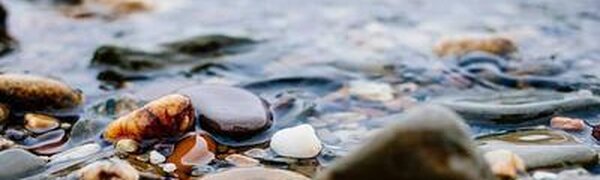 Реки южных и западных районов Приморья очистились ото льда