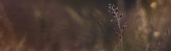 В выходные дни погода в Приморье ухудшится