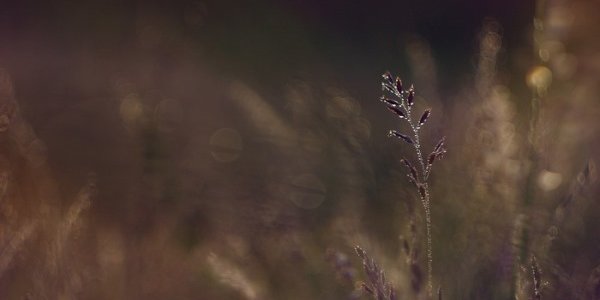 В выходные дни погода в Приморье ухудшится