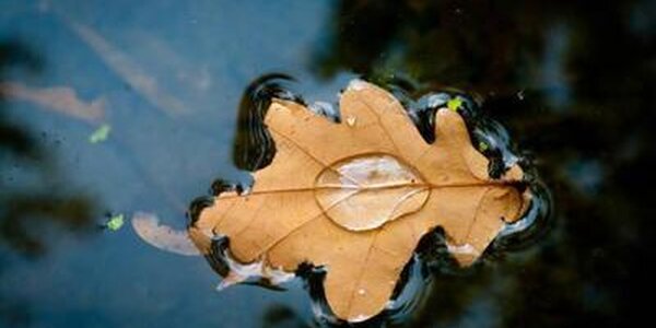 Похолодание придет в Приморье в среду