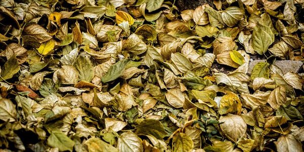 Вторжение холода продолжится в Приморье в четверг