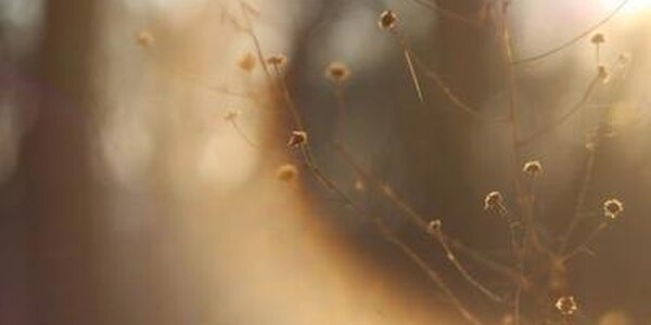 Стало известно, какая погода ожидается в Приморье на стыке октября и ноября