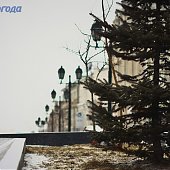 Многообразием погодных явлений отметились выходные дни во Владивостоке