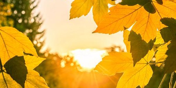 Октябрь-2016 стал вторым самым тёплым в истории