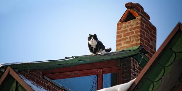 Холодный ноябрь обещает Приморью новые морозы