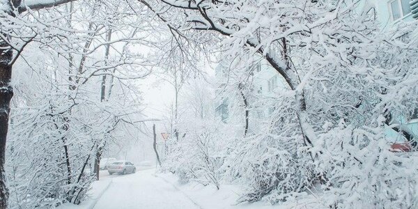 Cнежный январь ожидается в России по предварительным прогнозам