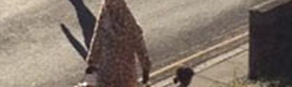 Добрый Жираф помогает людям в Шотландии