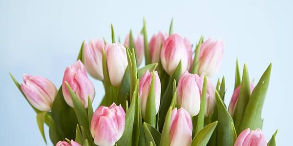 Выходные на 8 марта 2018: как отдыхаем в Международный женский день?