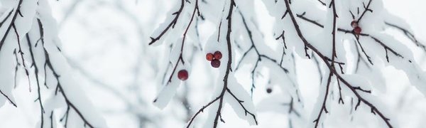 В первый день весны Владивосток накроет снегом