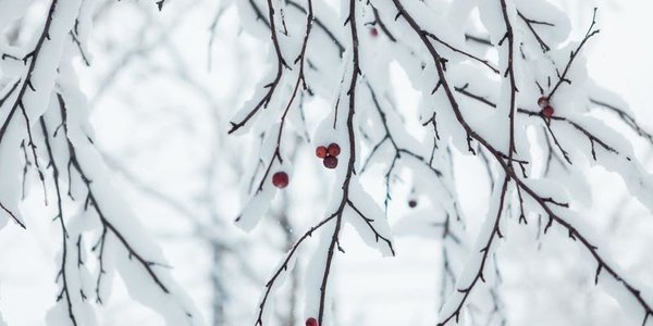 В первый день весны Владивосток накроет снегом