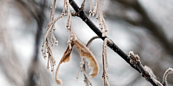 Зимние морозы подступают всё ближе к Приморью