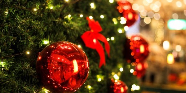 Новый год во Владивостоке: где найти нарядные ёлки?