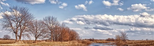 Подъем уровня воды в реках Приморья пошел на спад