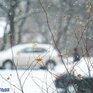 МЧС в Приморье распространяет предупреждения о снежном циклоне 23 — 24 октября